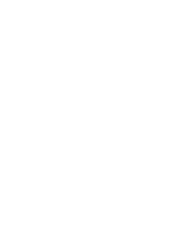 Bubbe's Steam Wash